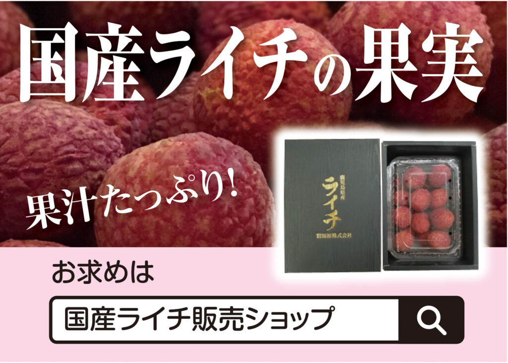 国産ライチの果実