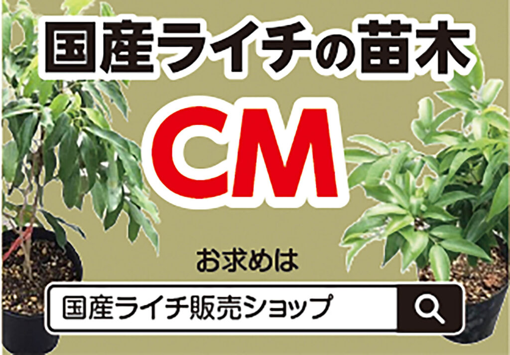 国産ライチの苗木CM